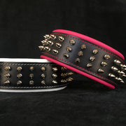 SILVER GIANT DOG COLLAR - GENUINE PADDED LEATHER - HANDCRAFTED - IMPORTED