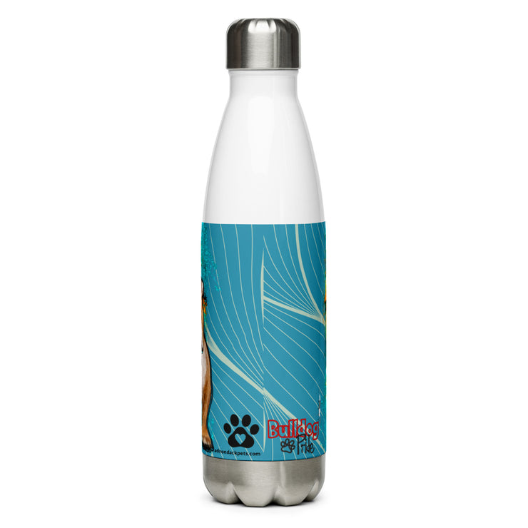 Stainless Steel Water Bottle