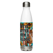 Stainless Steel Water Bottle